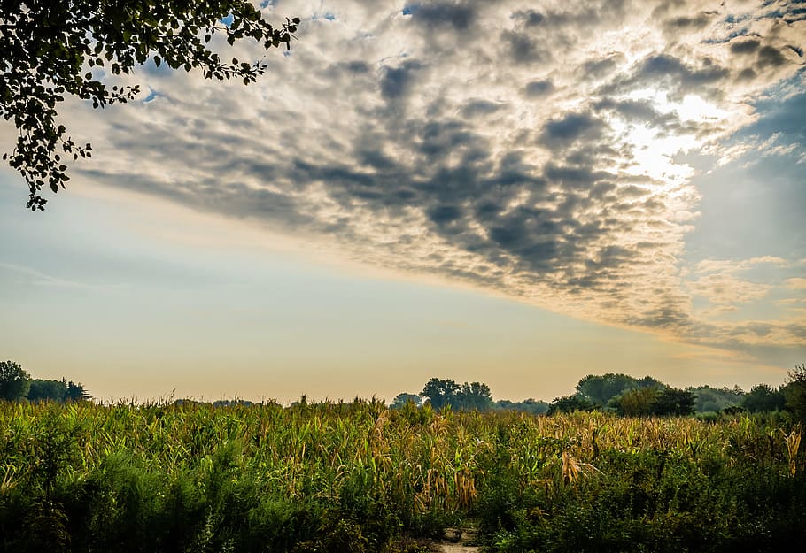landscape, clouds, pano, sky, nature, sunset, summer, outdoors HD wallpaper