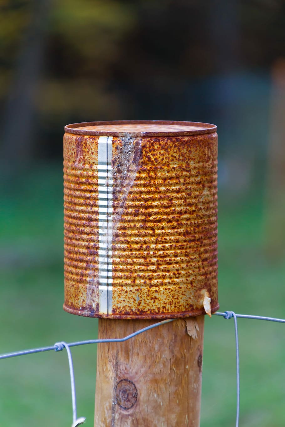 Tin Can, Stainless, Box, Fence, rusty, agriculture, no people HD wallpaper