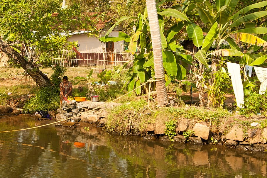 India, Kerala, Backwaters, River, palm trees, nature, tropics HD wallpaper