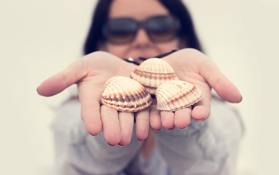 selective focus photo of woman holding three seashells, grey HD wallpaper