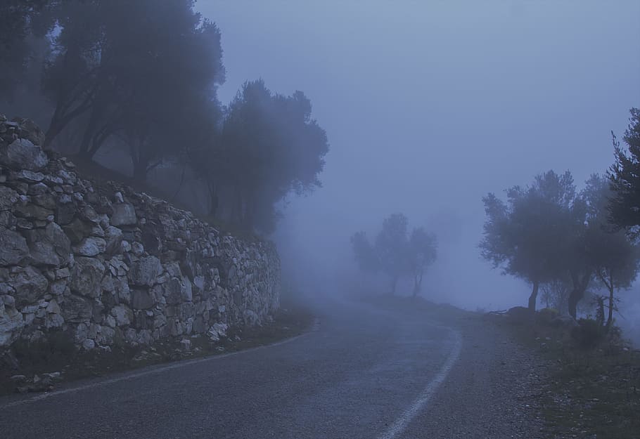 Road Between Trees and a Cliff Covered With Fog, cold, curve
