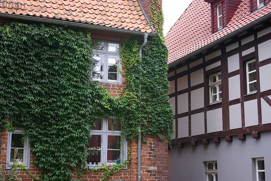 Stralsund, Old House, Architecture, prussian wall, street, facade HD wallpaper