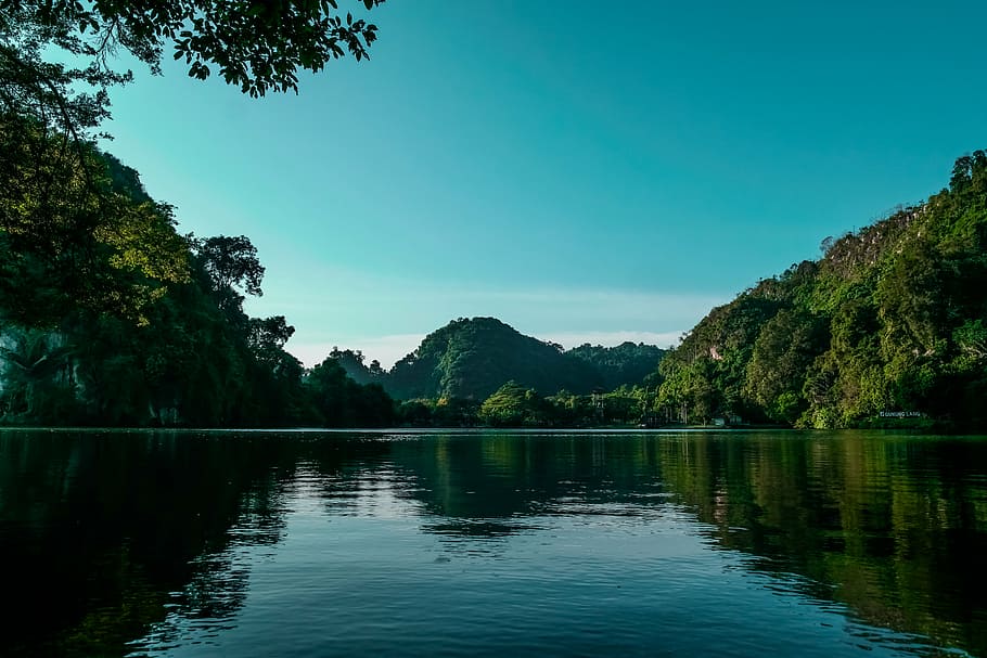 body of water between green leafed trees during daytime, photo HD wallpaper