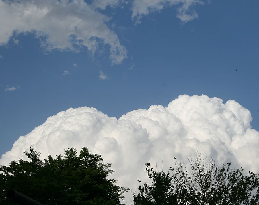 cloud, large, white, dense, cumulus, trees, sky, blue, cloud - sky HD wallpaper