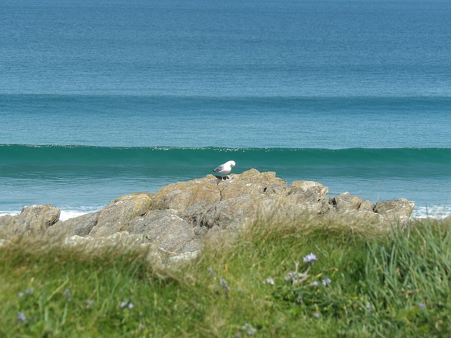 sea, beach, trail, hiking, landscape, horizon, brittany, ocean HD wallpaper