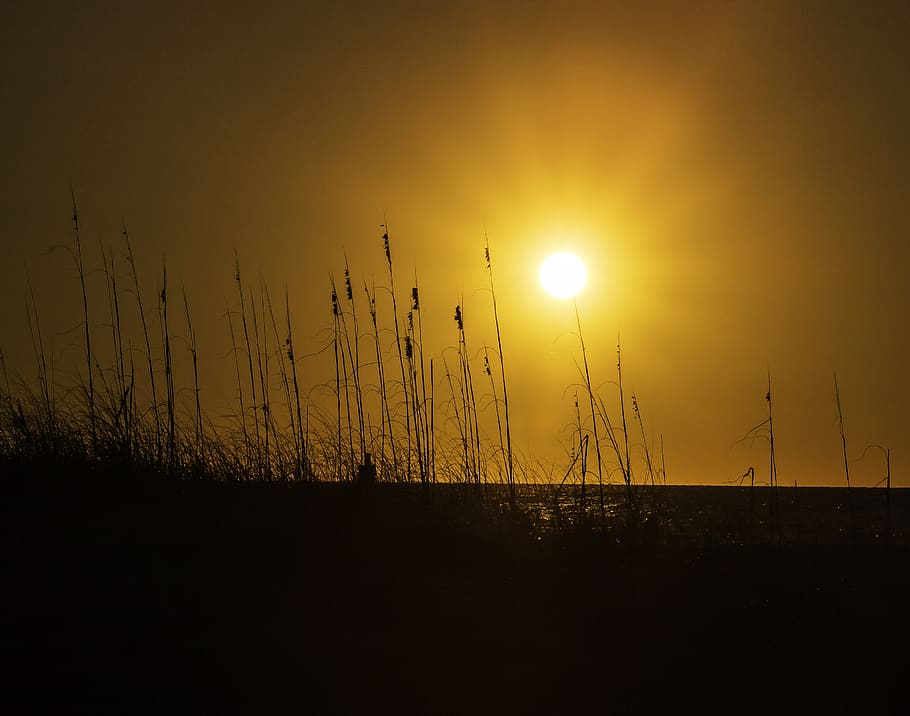 sunset, dawn, silhouette, sky, beauty in nature, scenics - nature HD wallpaper