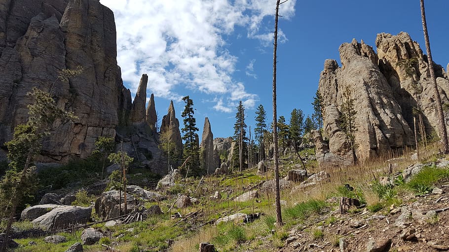 Needles, Custer State Park, Rocks, South, dakota, landscape