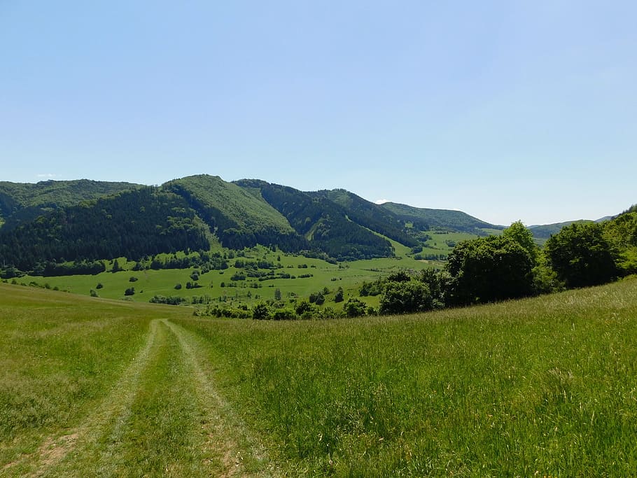 country, slovakia, forests, mountain, spring, mountains, sky, HD wallpaper