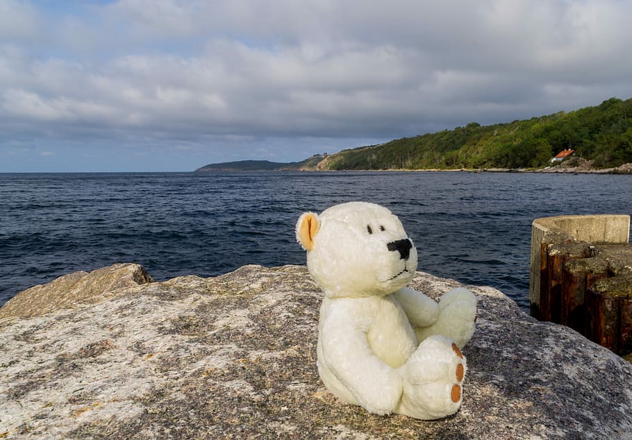 Bear, Bears, Pier, Sea, Stones, View, white, brown, teddy, holiday HD wallpaper