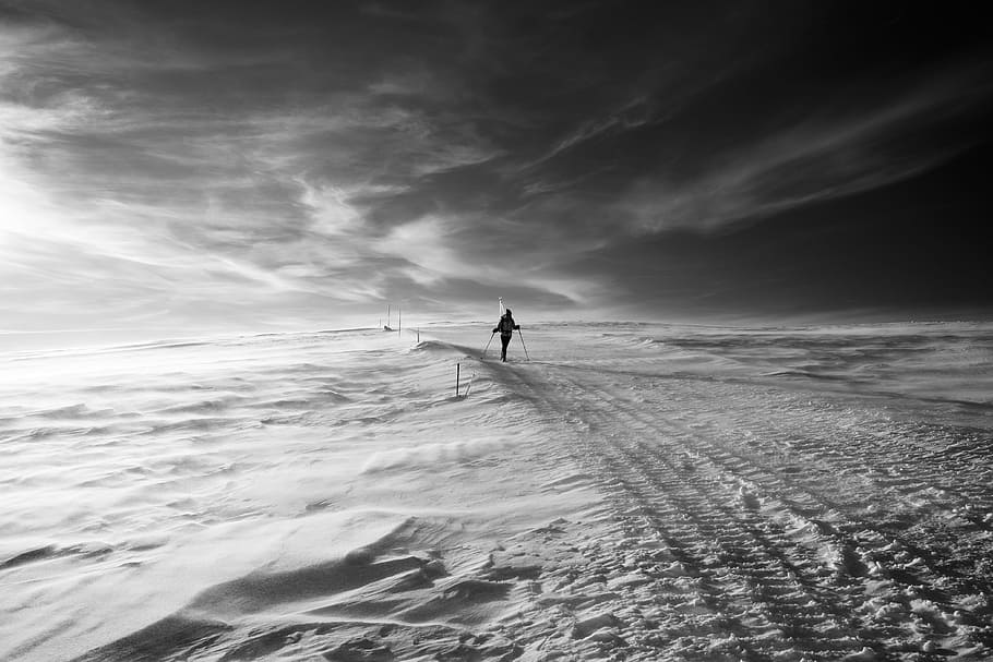 person walking on snow trail, person walking in snowy area, path HD wallpaper