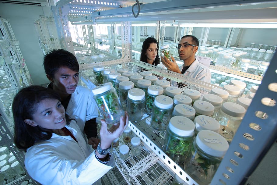 four people wearing white laboratory dresses inside the lab holding jars HD wallpaper