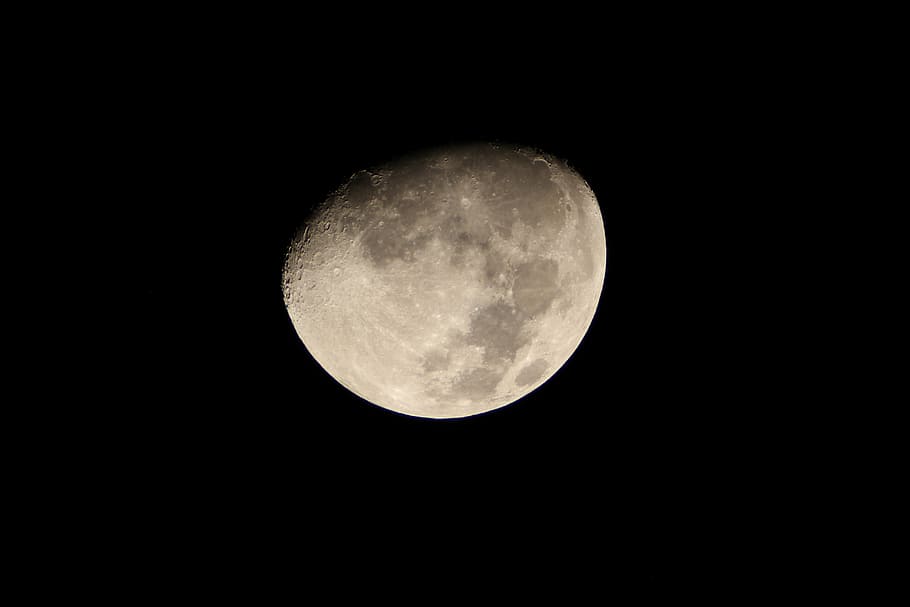 gray moon, lunar, astronomy, night, full, space, sky, planetary moon HD wallpaper