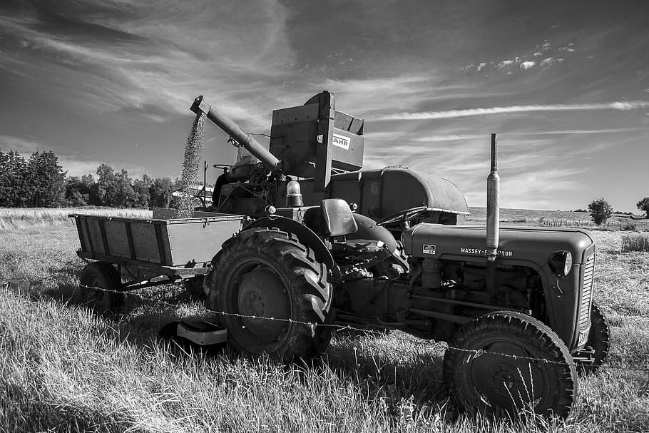 fergusson, tractor, grain, field, land, agricultural machinery HD wallpaper