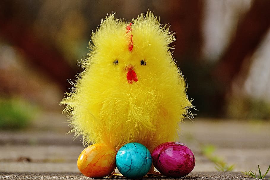 chicks, easter, cute, figure, easter theme, sweet, decoration HD wallpaper