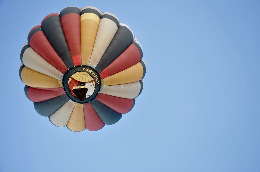 flower, sky, balloon, air, fly, hot air balloon, fun, high HD wallpaper