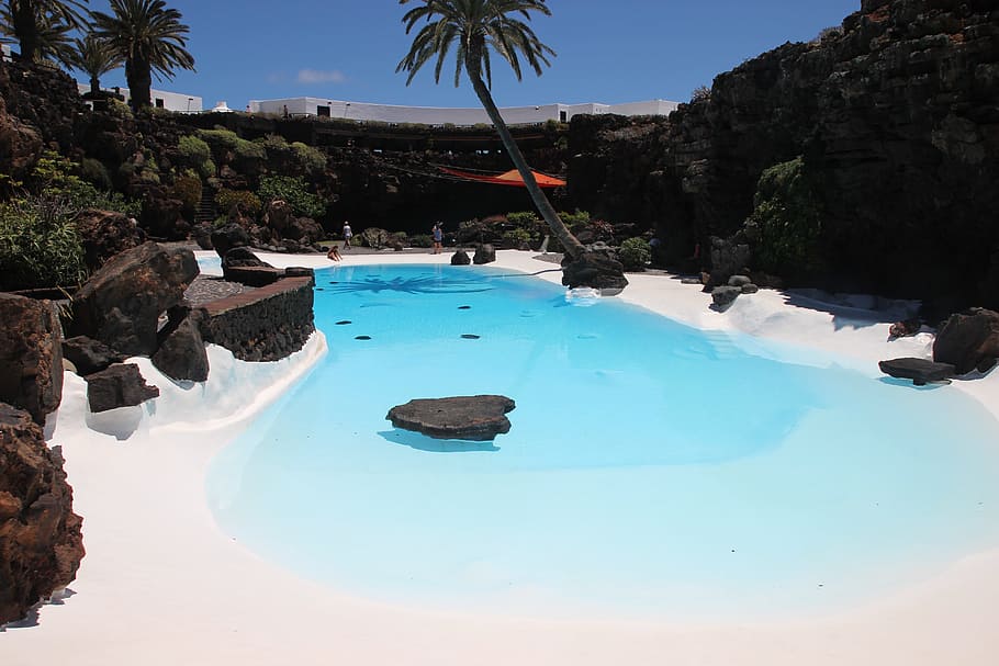 lanzarote, pristine, sand, beach, water, tree, nature, rock HD wallpaper