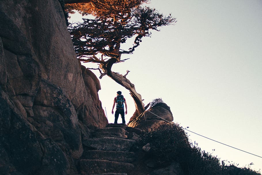 man standing near brown tree, man standing beside tree during daytime HD wallpaper