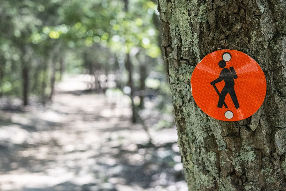 red and black signage on tree og, shallow focus photography of walking signage sticker HD wallpaper