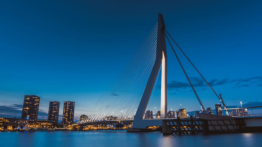 architecture, bridge, city, night, river, suspension bridge HD wallpaper