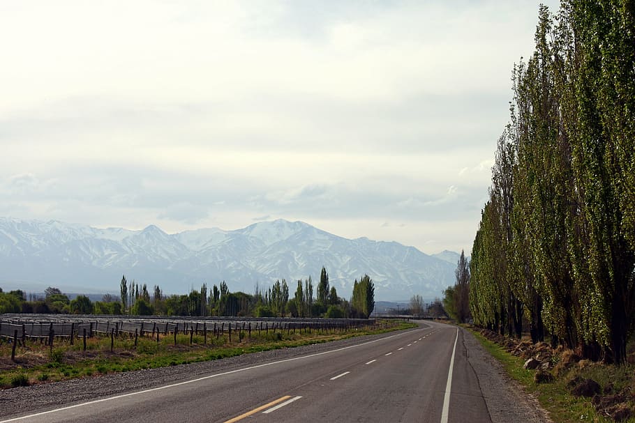 route, mountain, road, mendoza, landscape, asphalt, on road HD wallpaper
