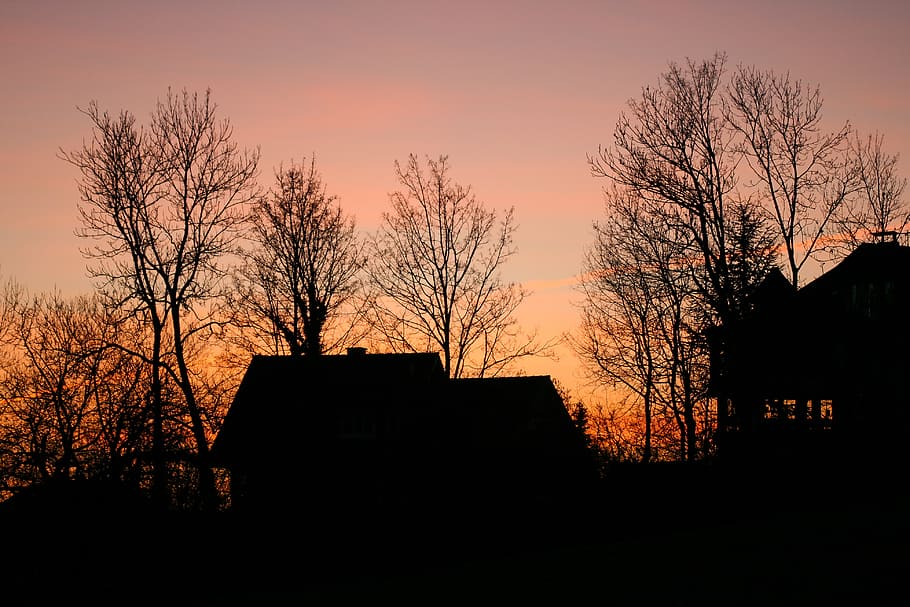 silhouette, abendstimmung, tree, home, dusk, branches, sunset HD wallpaper
