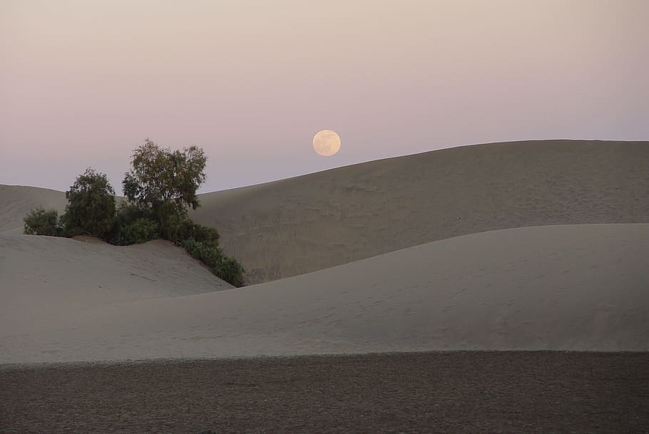 feminine, moon, dune, sky, nature, no people, tranquility, land HD wallpaper