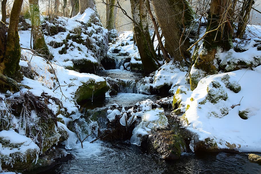 winter, water, ice, snow, germany, tree, beauty in nature, flowing water HD wallpaper
