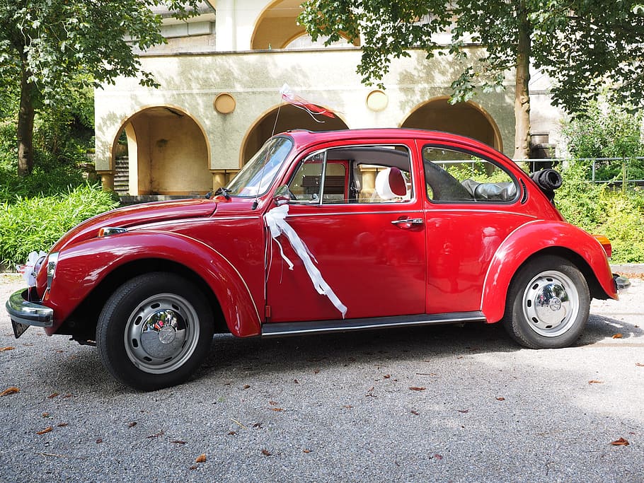 vw beetle, bridal car, auto, oldtimer, vehicle, classic, volkswagen, HD wallpaper