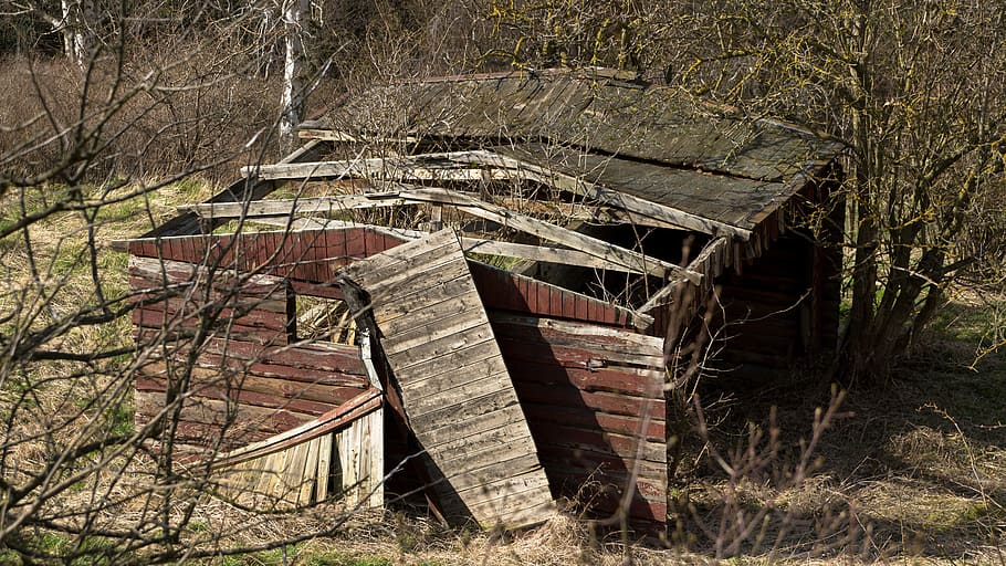 shed, ruin, building, old, abandoned, dilapidated, decay, wooden HD wallpaper