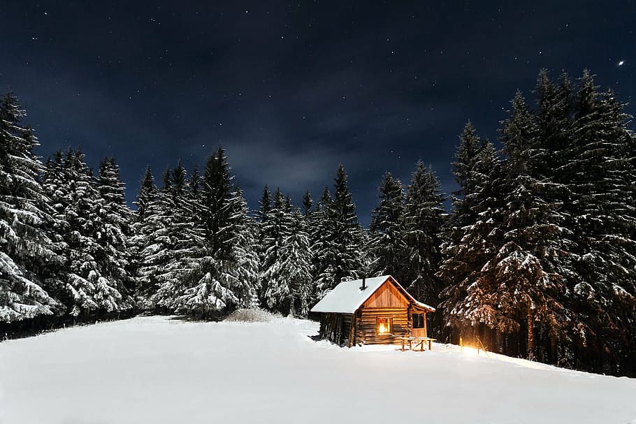 white wooden shed house, cabin, pine trees, starry night, cottage HD wallpaper