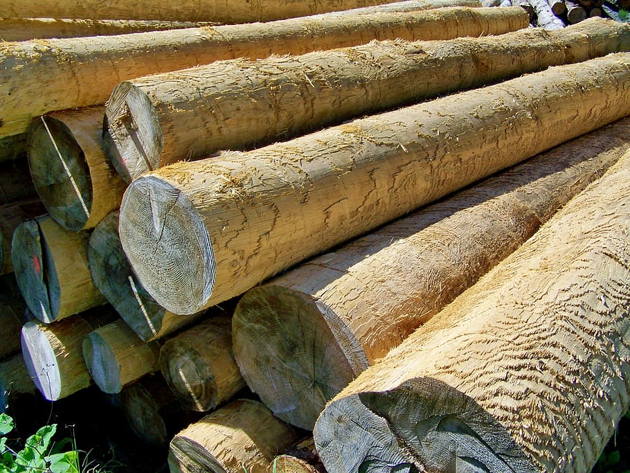 logs, pine wood, forest management, timber, stack, large group of objects HD wallpaper