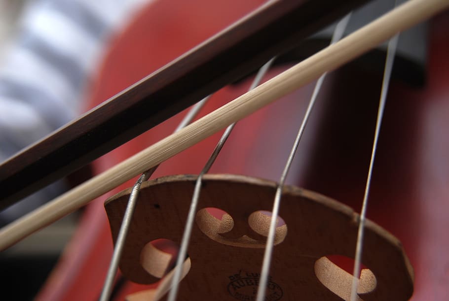 cello, strings, classical music, bow, string instrument, musical instrument HD wallpaper