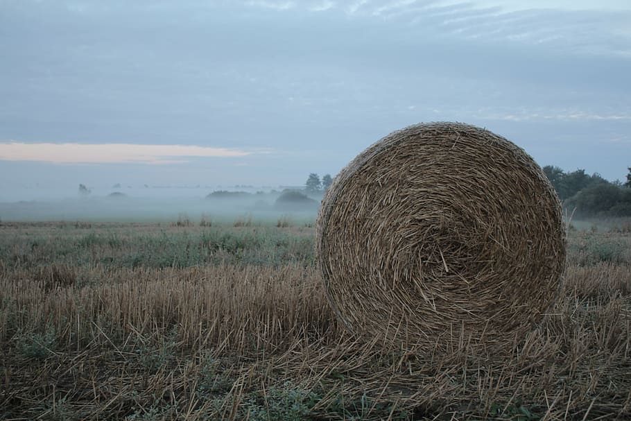 field, straw, harvest, summer, agriculture, village, the fog HD wallpaper