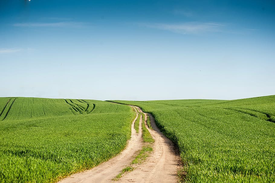 lane, sand, seed, sky, blue, nature, land, environment, field HD wallpaper