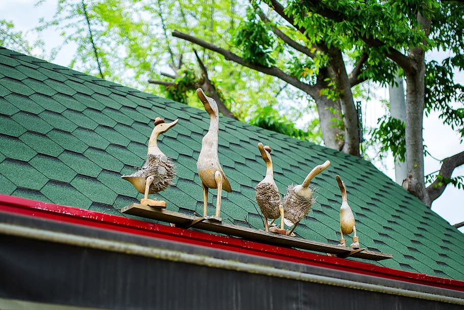 wood, duck, doll, roof, new, goose, animal, sculpture, molding HD wallpaper