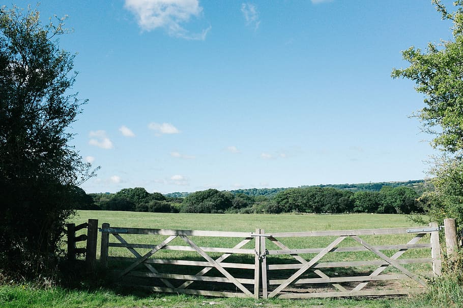landscape photo of gray wooden gate during daytime, brown wooden gate between green trees at daytime HD wallpaper