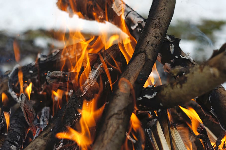 fire, campfire, heat, flame, burn, wood, romance, heiss, wood fire HD wallpaper