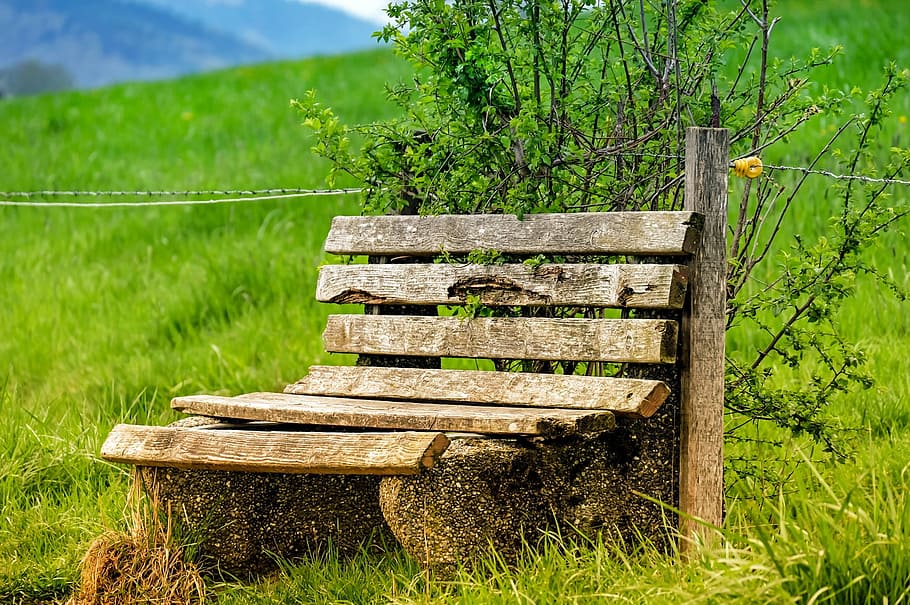 brown wooden bench with background of mountain, bank, old, lapsed
