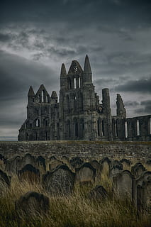 gray concrete castle, gothic, abbey, whitby, vampire, dracula HD wallpaper