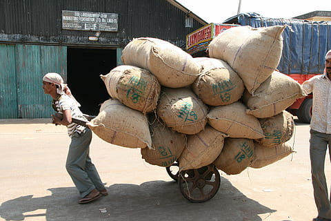 man carrying stack of sack on wagon, hard labour, sacks, transportation HD wallpaper
