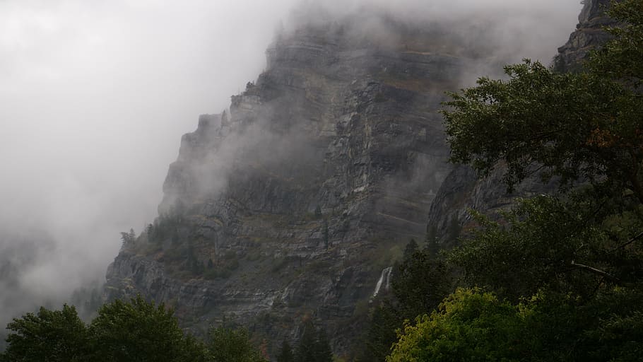 panoramic photo hill above forest covered with fog during daytime HD wallpaper