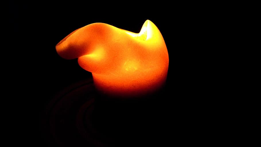 candle, flame, the flame, glowing, brand, black background HD wallpaper