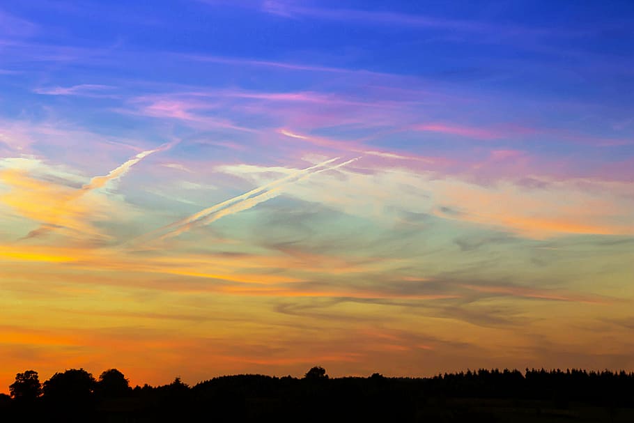 blue and yellow sky over silhouette of trees, sunset, clouds HD wallpaper