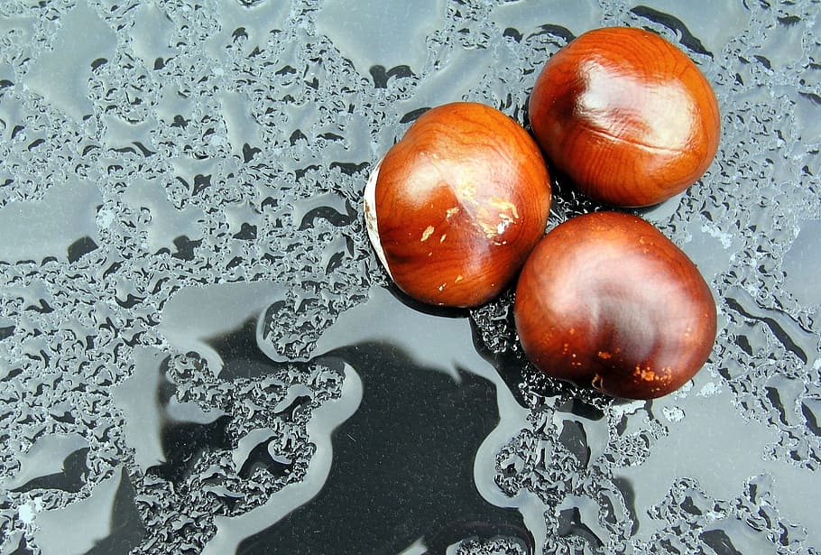 chestnuts, rain, nature, texture, food and drink, healthy eating HD wallpaper