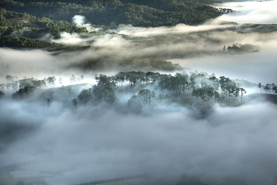 landscape photo of mountains with trees, da lat, vietnam, planting