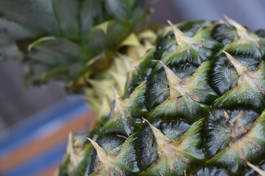 pineapple, fruit, close-up, freshness, plant, food, food and drink HD wallpaper