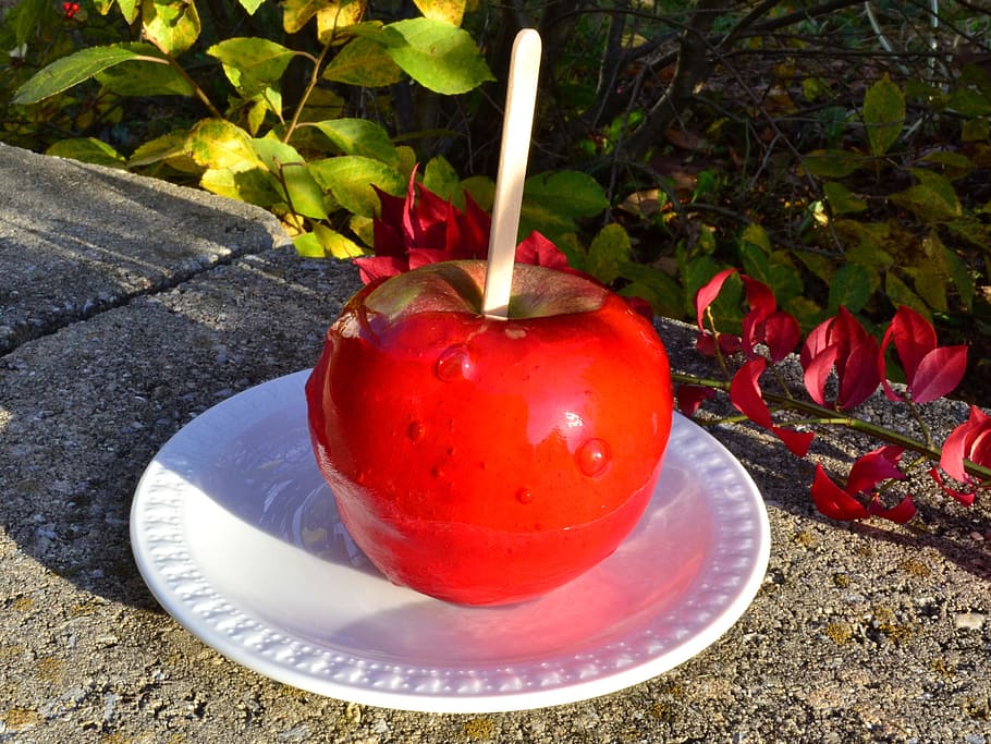 Candy, Apple, Harvest, Fall, Festival, red, fruit, dessert HD wallpaper