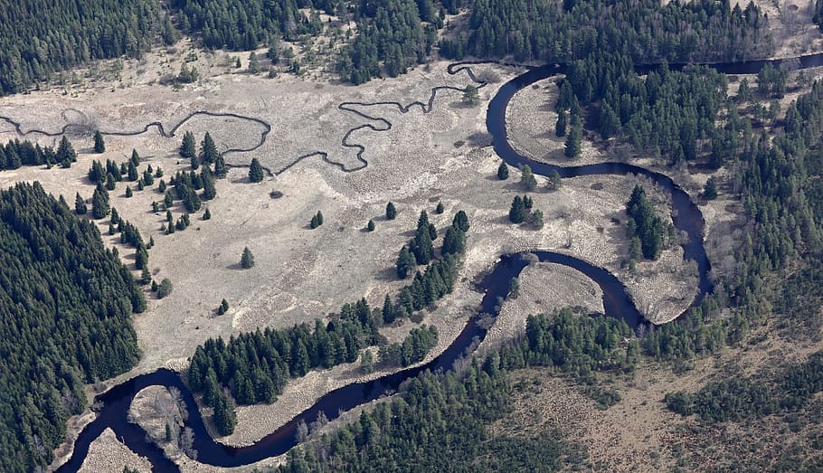 meanders, vltava, šumava, river, forest, water, nature, high angle view HD wallpaper