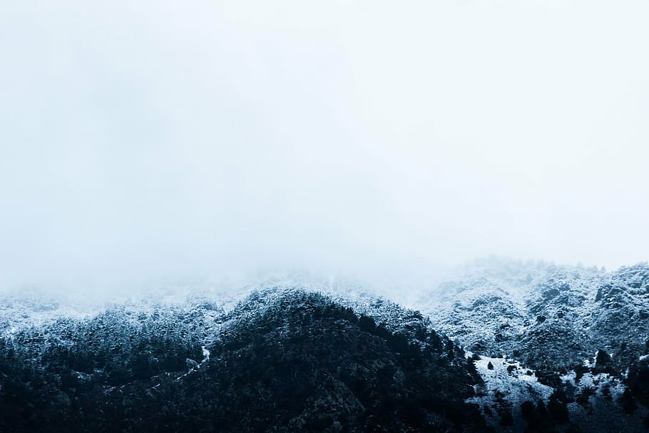 mountain with trees covered in snow at daytime, photo, green HD wallpaper