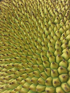 nature, pattern, food, flora, jackfruit, illusion, bananas HD wallpaper
